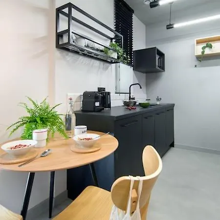 Postindustrial Apt In The Center Cracovie
