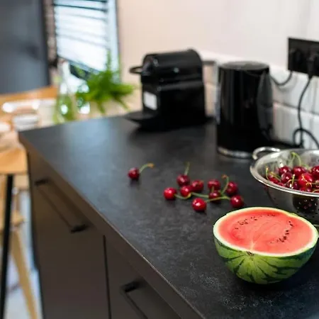 公寓 Postindustrial Apt In The Center *